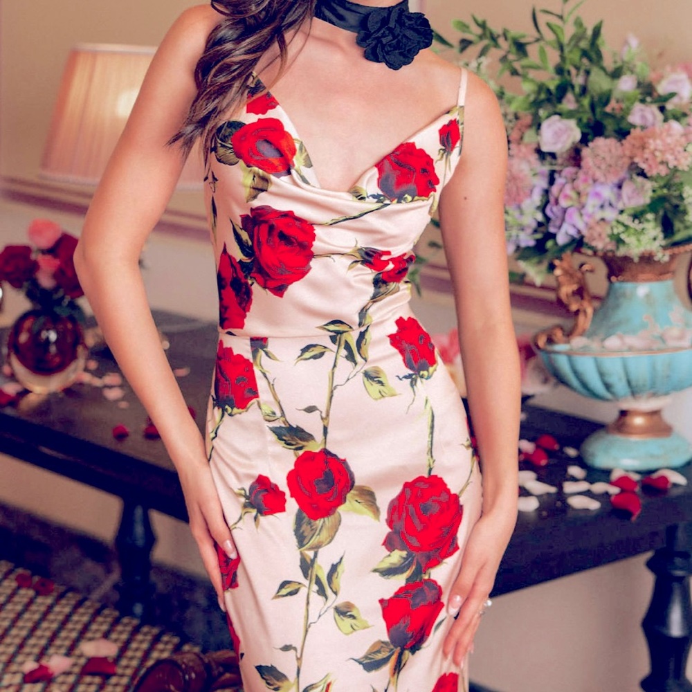Cider Forgotten Rose Satin Maxi Dress XL US size 10